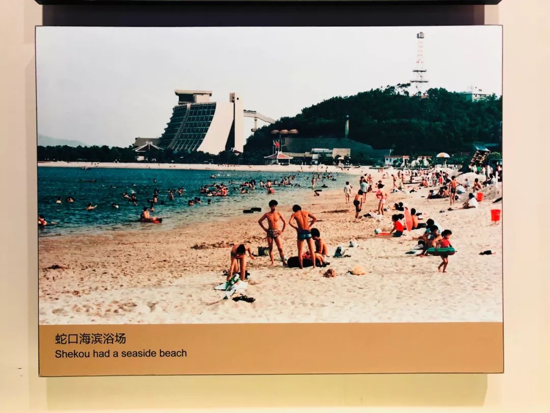 生活在蛇口是什么感觉,深圳蛇口本地人的生活