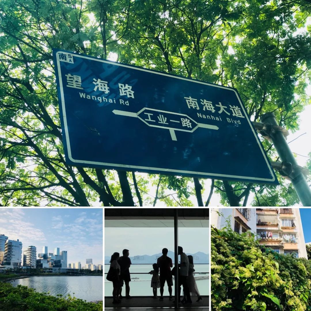 生活在蛇口是什么感觉,深圳蛇口本地人的生活