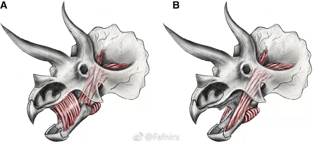古生物最新发现,古生物化石信息