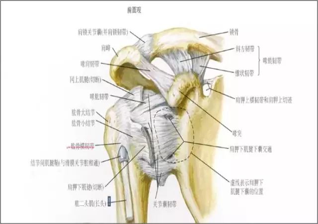 麒麟臂是每天练好还是隔天练,麒麟臂好用吗