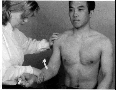 麒麟臂是每天练好还是隔天练,麒麟臂好用吗