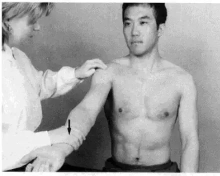 麒麟臂是每天练好还是隔天练,麒麟臂好用吗