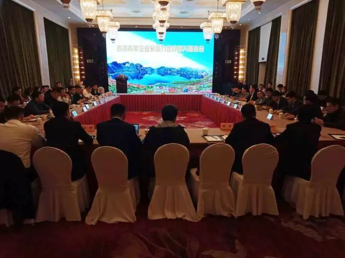 青年企业家助力高质量发展,民营经济招商推介会