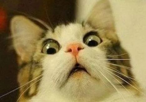 福建一男人发烧去世,一位小伙长期痔疮便血导致了死亡