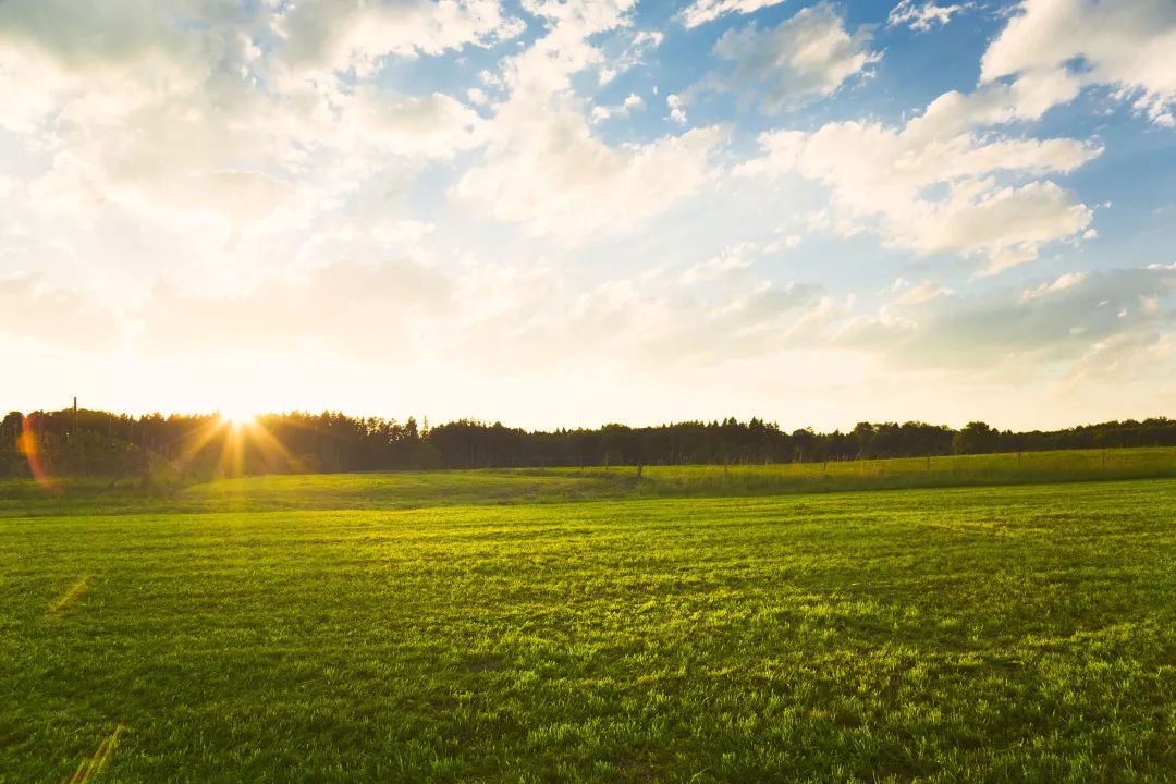 晨读丨真诚待人,好运自会降临