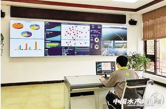 生态养鱼新模式,高档水产品养鱼最新模式