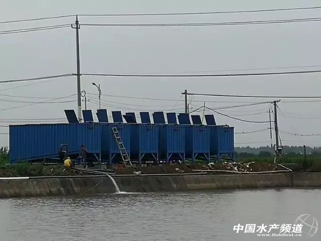 生态养鱼新模式,高档水产品养鱼最新模式