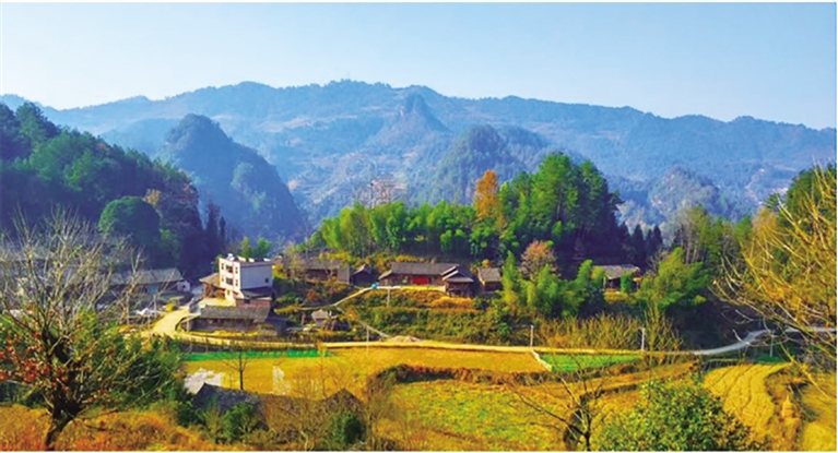 改善城乡人居环境的做法和建议,加强城市管理改善民生建议