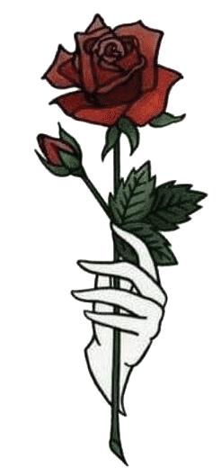 泰国必买711清单及价格表,来泰国必买清单在哪里买