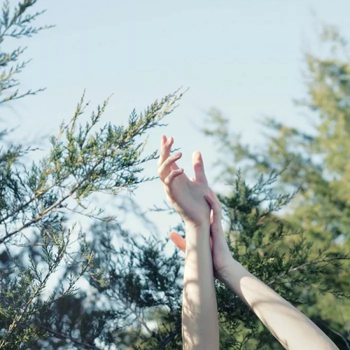 面部皮瓣美容缝合,面部美容线缝合恢复效果图