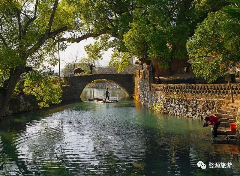 【五一·爽心游江西】婺源最全旅游攻略已为您备好,快来婺源“嗨”翻天!