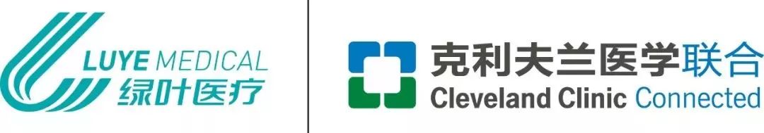 聚点丨绿叶医疗亮相虹桥峰会打造国际一流医学中心引领长三角高品质医疗
