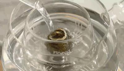 获红点大奖的三合一煮茶器,颠覆传统的三合一煮茶器