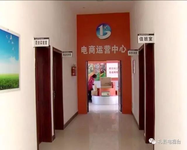 县级电商的发展思路,礼县电商发展前景