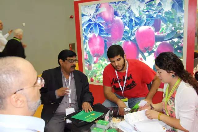 县级电商的发展思路,礼县电商发展前景