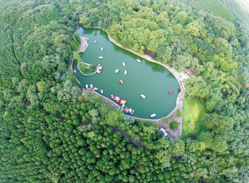 相山公园恢复,相山新公园