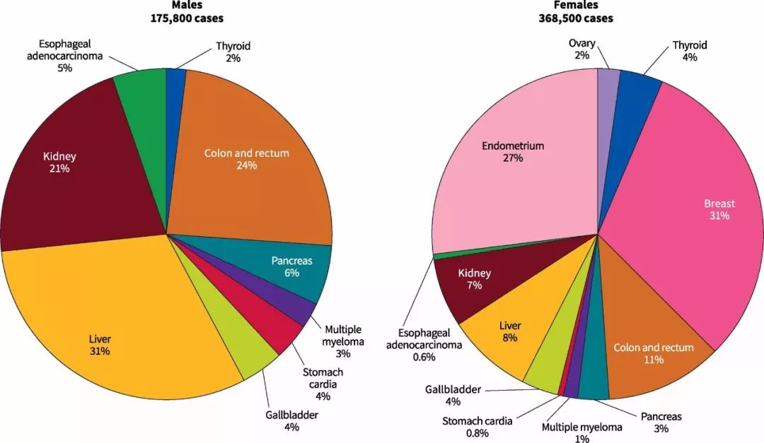 肥胖已被证实与多种癌症有关,肥胖11种癌症图片
