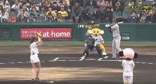 为什么大陆很少人打棒球,大陆为什么没有壁球馆