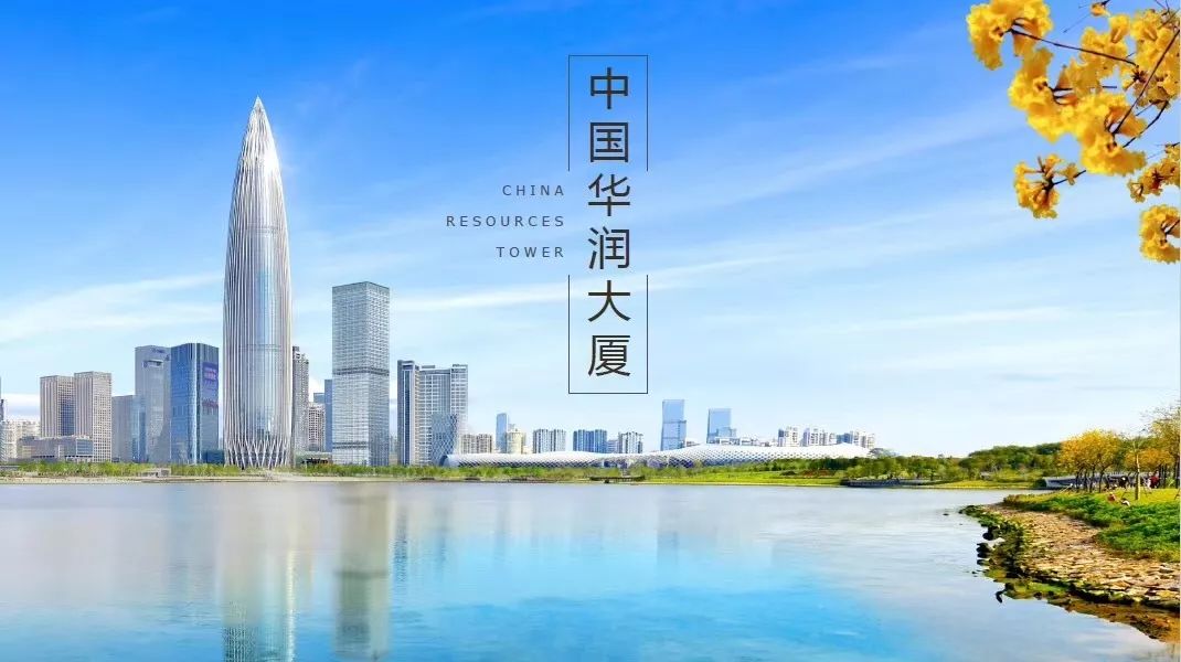 深圳南山区第一高楼,南山区第一高楼叫什么名字