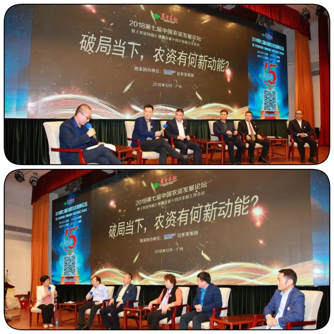 中化化肥后市会涨吗,中化化肥趋势