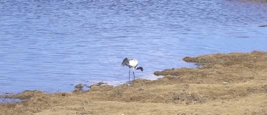 50家最美民宿,全国10家最美民宿