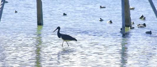 50家最美民宿,全国10家最美民宿