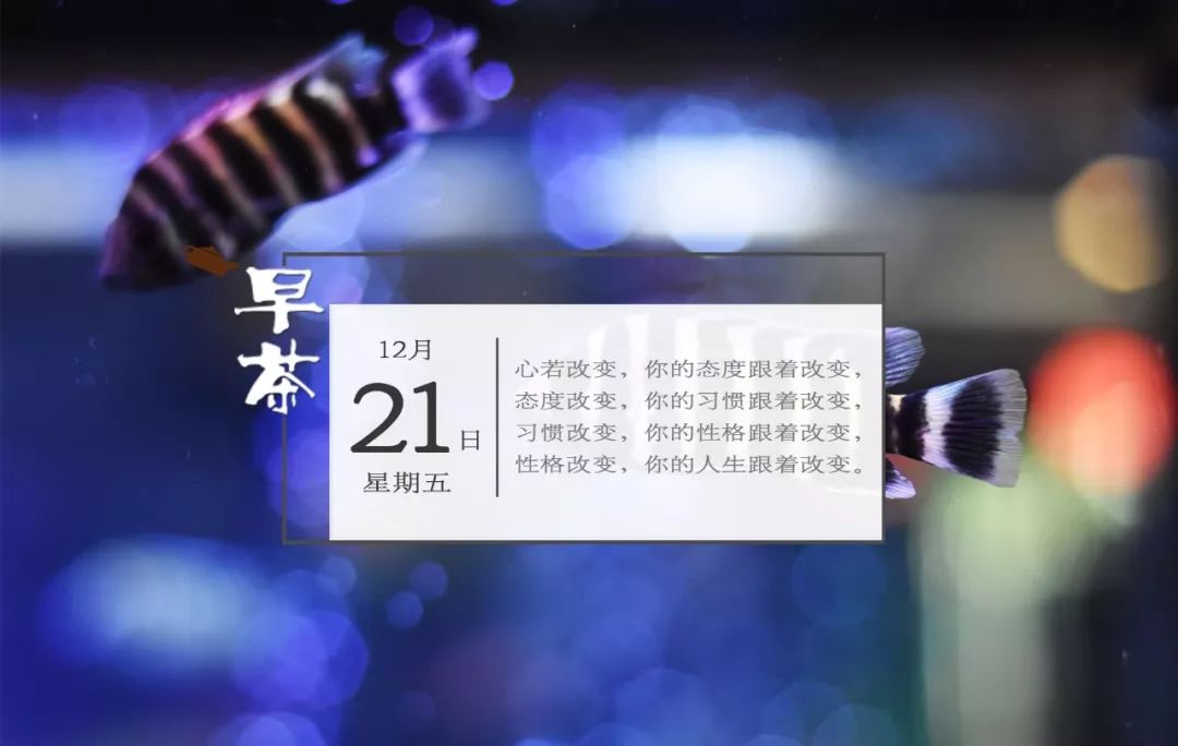 去香港买药品要注意什么,香港必买好药