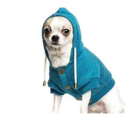 涤纶横向形态,涤纶最初是怎么推广的