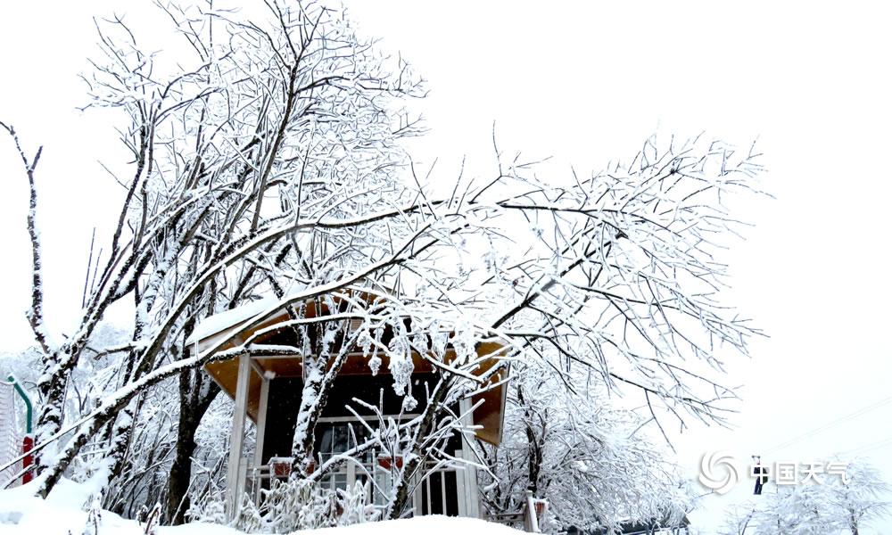 四川西岭雪山远观,成都西岭雪山美成童话世界