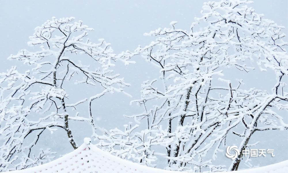 四川西岭雪山远观,成都西岭雪山美成童话世界