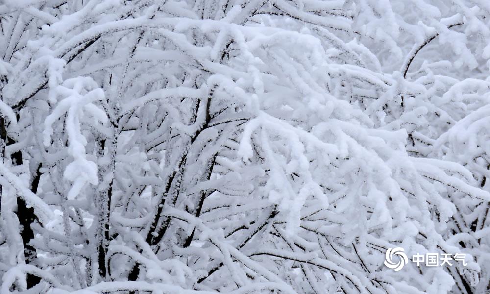 四川西岭雪山远观,成都西岭雪山美成童话世界