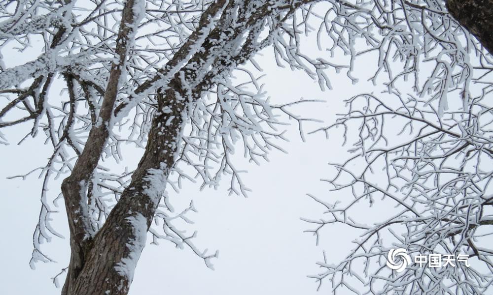 四川西岭雪山远观,成都西岭雪山美成童话世界