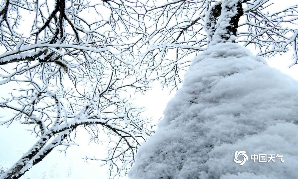 四川西岭雪山远观,成都西岭雪山美成童话世界