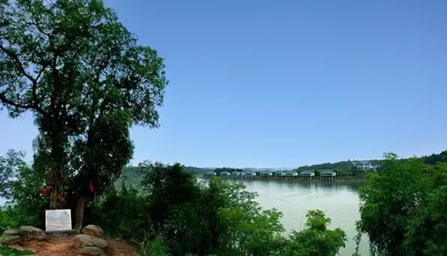 绵阳仙海旅游必买清单,绵阳来仙海