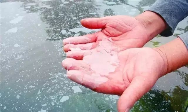 罗浮山温泉冬季,冬已至寻一处温泉享一池温暖