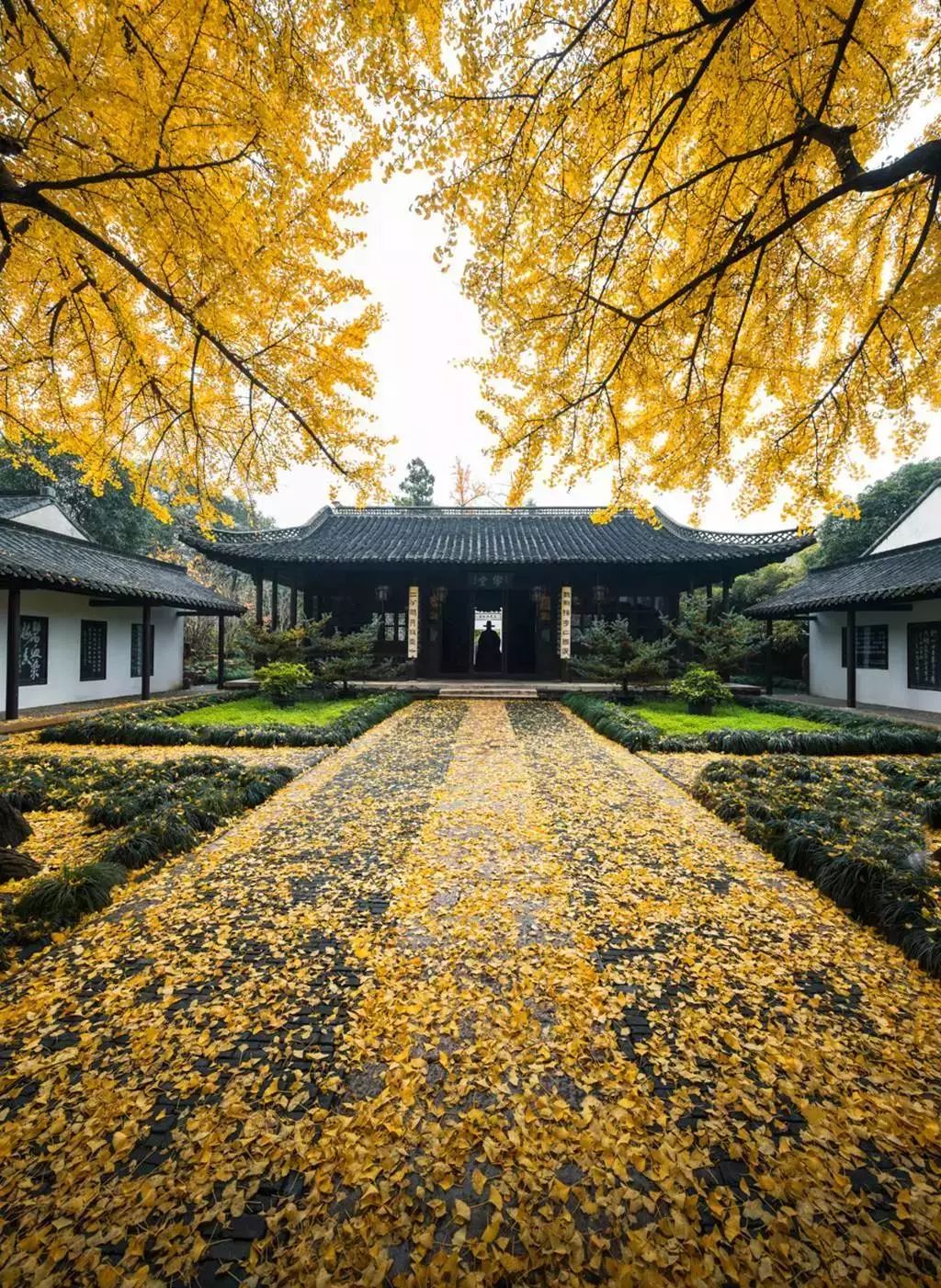 1月机票白菜价！从洛阳出发，最低只要170元！比坐车还便宜！