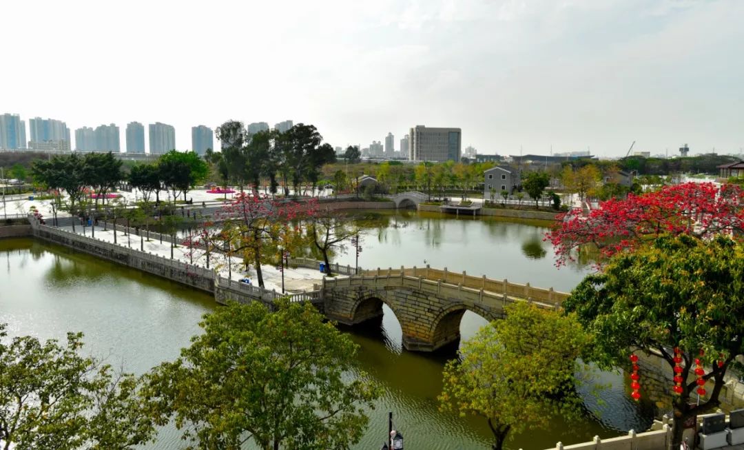 新安、福海、沙井、新桥、燕罗2019年关键词出炉，速度来get！