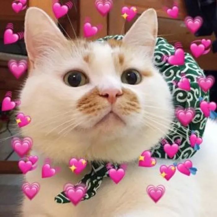 平价乳液面霜推荐,平价抗老不油腻的乳液面霜