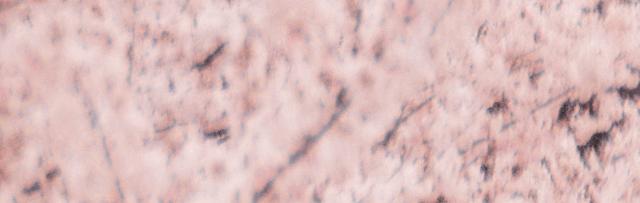 2018年终总结个人总结,2018年总结单身熬夜长胖