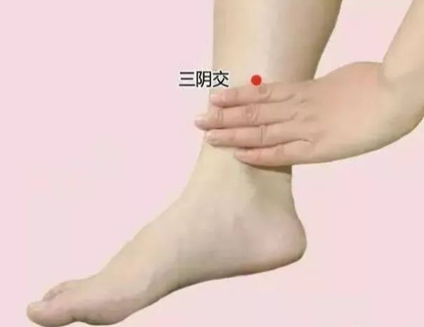 冬至一阳生艾灸正当时图片,冬至阴极而阳生