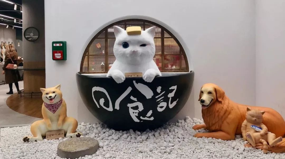 旅行/阅读/小众设计……逛逛这些能满足你精致生活幻想的美学概念店