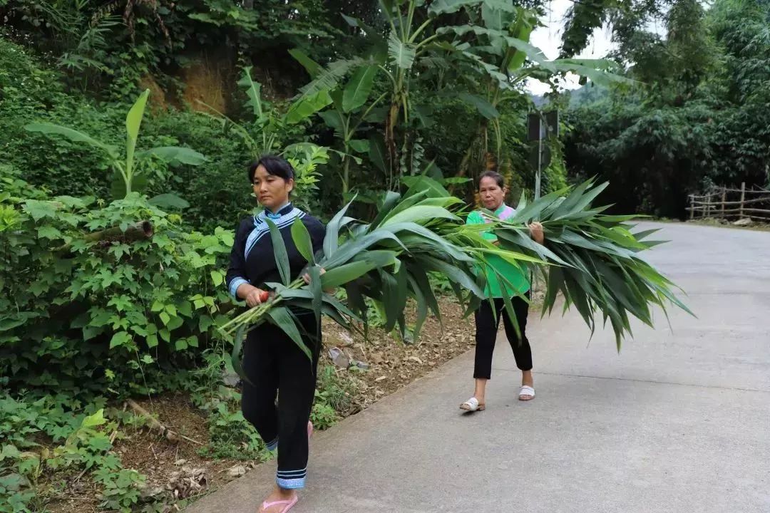 首届道德模范颁奖典礼视频,2018年河口县道德模范