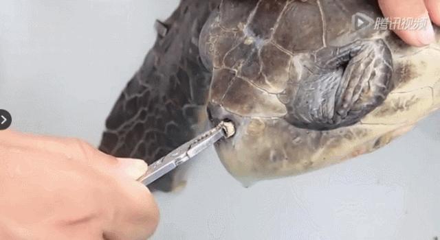 星巴克吸管缺点,星巴克吸管降解能用多少年