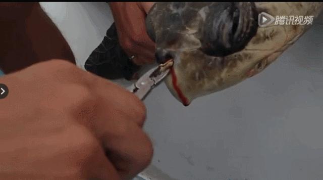 星巴克吸管缺点,星巴克吸管降解能用多少年