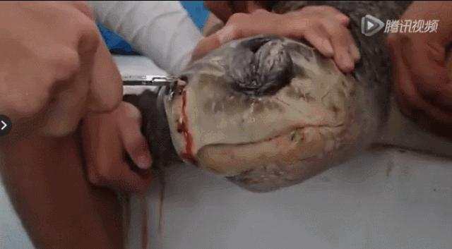 星巴克吸管缺点,星巴克吸管降解能用多少年