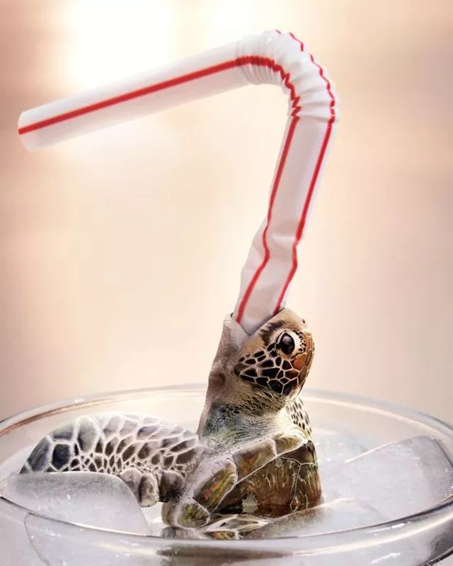 星巴克吸管缺点,星巴克吸管降解能用多少年