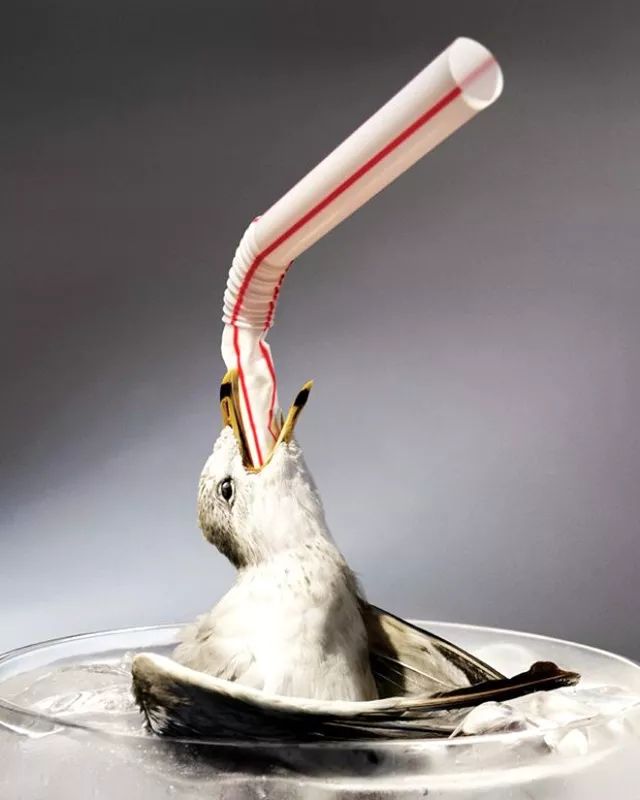 星巴克吸管缺点,星巴克吸管降解能用多少年