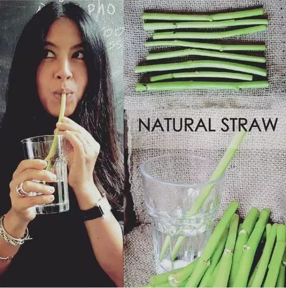 星巴克吸管缺点,星巴克吸管降解能用多少年