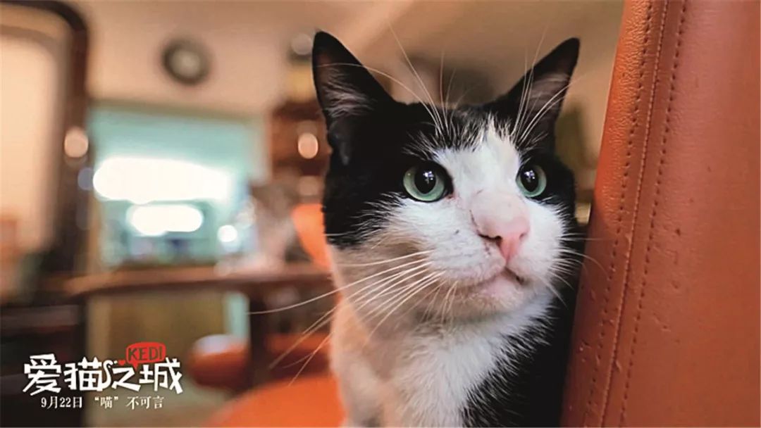 怎么样才可以偶遇彭于晏 (怎么样才能遇见彭于晏)