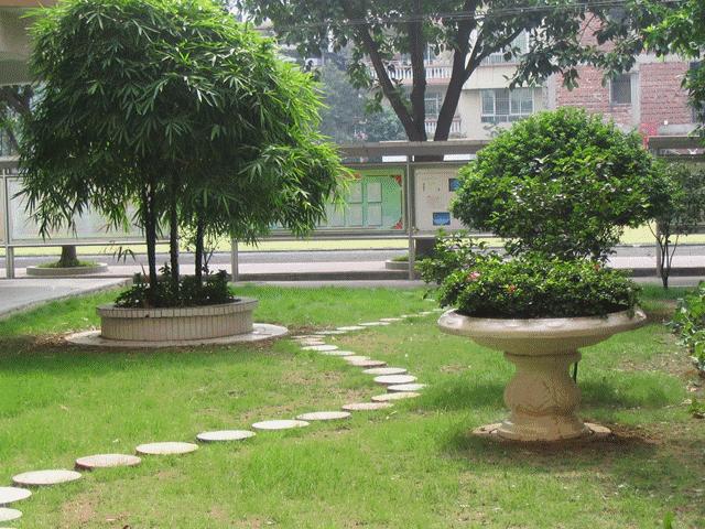 42年历史！西约这所小学用信息学撬动发展，加速崛起！